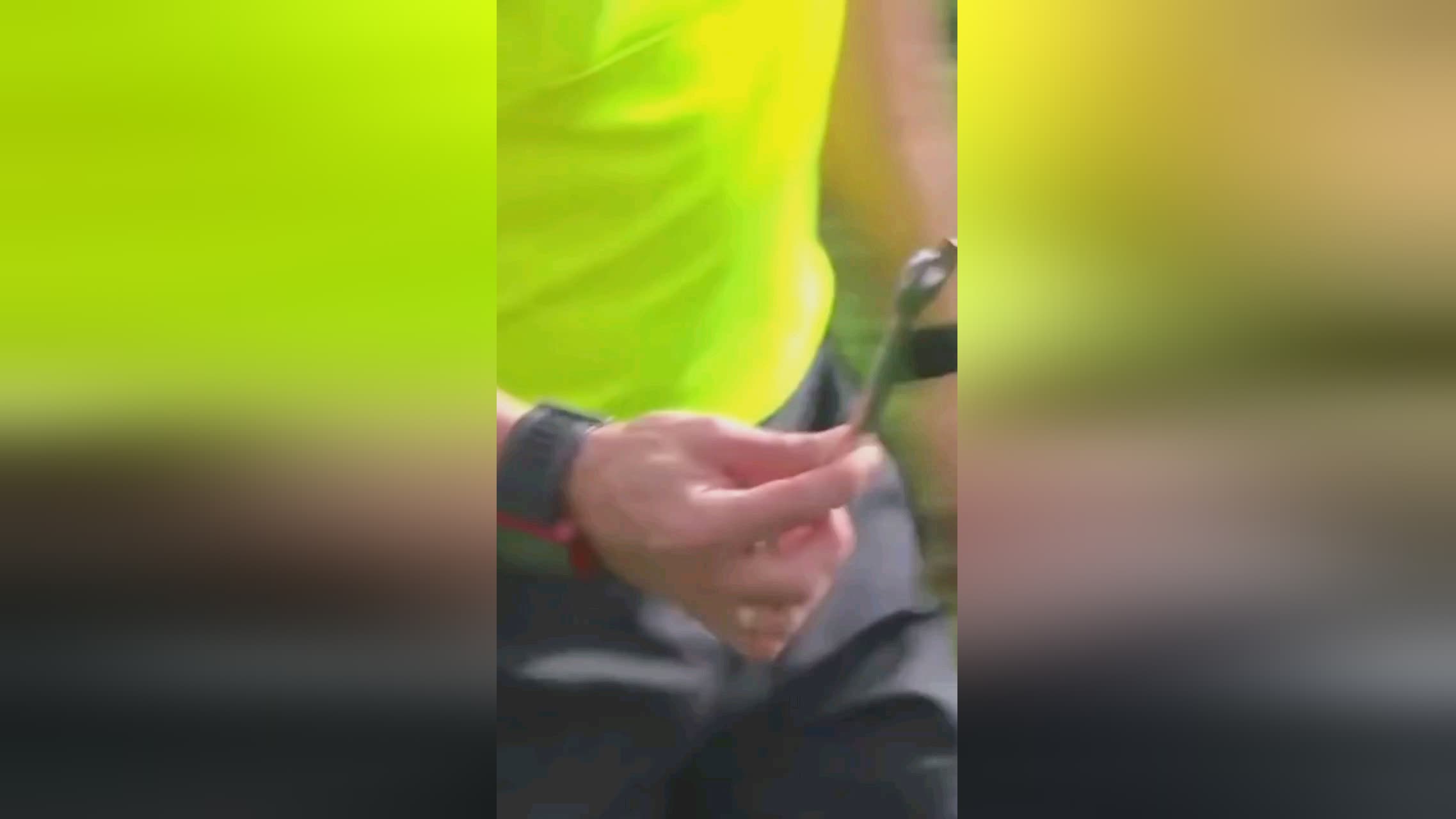 成功类